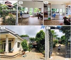 1. Chính chủ cho thuê hoặc bán biệt thự mái Thái (The Little Pea House) ngay giữa trung tâm TP.Bà Rịa