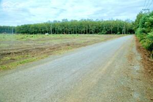 Bán gấp 160m2 giá 235 triệu đất dân đông gần chợ trường, Sân bay Hớn Quản