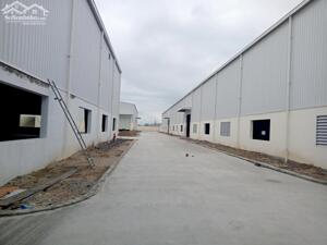 Cho thuê kho xưởng tại Hải Dương