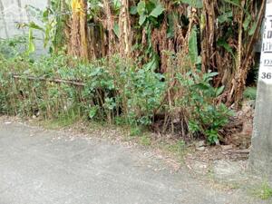 BÁN ĐẤT 70m Ỷ LAN. OTO ĐỖ CỬA. ĐƯỜNG THOÁNG MÁT TIỆN NGHI.