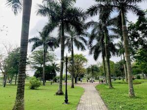 BÁN ĐẤT DỰ ÁN KHU DỊCH VỤ HỖN HỢP VSIP - LH 034 846 8889