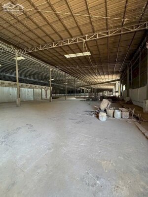 CHO THUÊ NHÀ XƯỞNG TẠI PHÚ GIÁO – BÌNH DƯƠNG | DIỆN TÍCH LỚN, CÓ SẴN LÒ SẤY GỖ, GÍA ƯU ĐÃI