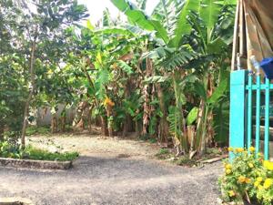 Đất 120m2 (7x15.5) thổ cư Lộ 2.5M hẻm Tuyến Tránh Thốt Nốt