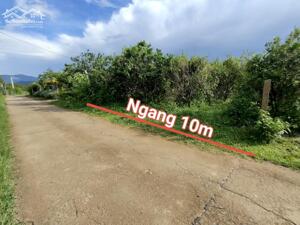 Bán vườn bưởi Sông Cầu QH thổ cư ngay trung tâm hành chính xã