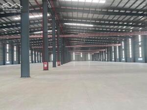 Cho thuê nhà xưởng diện tích 11.000m² tại Bình Giang – Hải Dương GIÁ TỐT