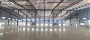 Cho Thuê Nhà Xưởng KCN Bình Phước – Tổng Diện Tích 58.000m², Giá Tốt, Pháp Lý Hoàn Thiện. Liên hệ: Chothuexuongmiennam.com - 0366632092