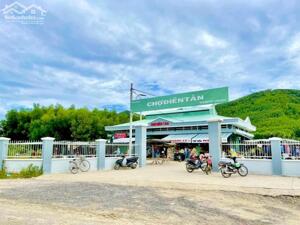 Căn nhà C4 cũ, nằm trên mảnh đất hơn 1.4ha Đất. mặt đường HL62 Diên Tân-Diên Khánh.