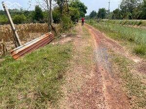 Bán đất lô 2 đường Trung Lập, Xã Phú Mỹ Hưng, Huyện Củ Chi, TP HCM