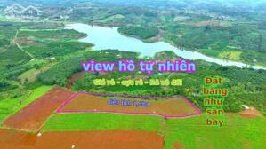 Bán rẫy wiu hồ rẻ nhất thị trường