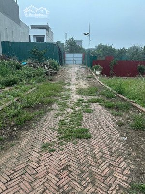 cho thuê các khu đất trống an dương - tây hồ