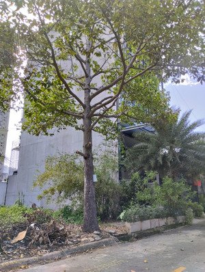 bán nền r19 dự án huy hoàng 8x20 giá bán 270tr/m