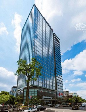 văn phòng b mặt tiền tôn đức thắng, quận 1 - giá tốt 120tr/300m2 - cơ hội vàng cho doanh nghiệp!