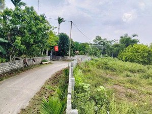 bán gấp lô đất view núi, vị trí đẹp, địa thế cao thoáng, phù hợp xây nhà vườn, giá tốt