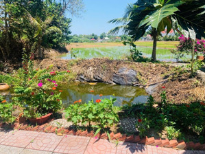 chính chủ bán nhà vườn dt 1,1 sào - huyện châu đức ven tp bà rịa giá cực sốc