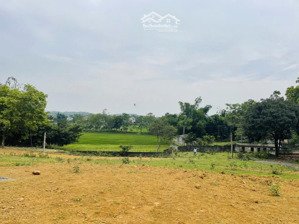 bán gấp đất tại cao dương, lương sơn, hòa bình, 2,2 triệu / m2, dt 4200 m2 chỉ với giá siêu hời