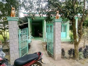 chủ gửi bán vườn trái cây đủ loại + nhà cấp 4. dt 500m2 ở vĩnh thanh - nhơn trạch. giá chỉ 1,75 tỷ