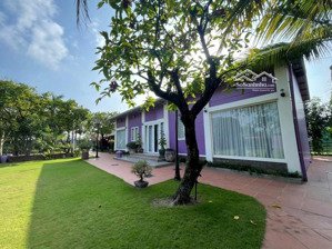 bán trang trại, khu nghỉ dưỡng tại xã bình mỹ, củ chi, hồ chí minh, 1ồ chí minh, 12 tỷ vnd, 3000 m2