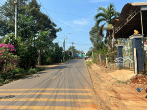 bán đất rẻ nhất hàng gòn 6000m2 full hồng đường hiện hữu ngân hàng hỗ trợ 60% tổng 2,5 tỷ