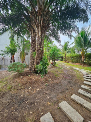 mình cần cho thuê resort mini nghỉ dưỡng , xã phước thạnh , huyện củ chi ( giáp cổng chào tây ninh)