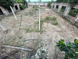 [chính chủ] cho thuê 800m đất bãi làm bãi tập kết, kho xưởng tại thanh oai, hà nội