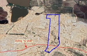 cần cho thuê mặt bằng đất 600m2, ninh thuận, giá 2 triệu/tháng