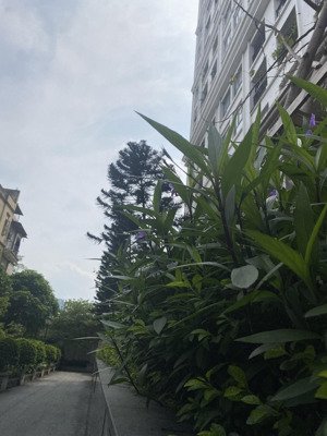 có phải ngáo giá! cho căn hộ khách sạn duplex tại hoàng mai