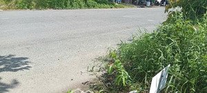 bán gấp nền 112.5m2 tại đường số 3 kdc sao mai, p7, bến tre, gần chợ, ubnd p7, công an tp bến tre