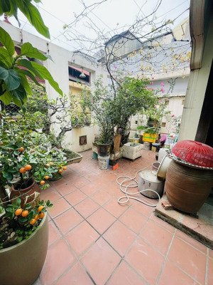 biệt thự cổ 82m2 quận ba đình, hoàng hoa thám, thụy khuê, văn cao, đội cấn, ngõ thông. giá: 19.5 tỷ