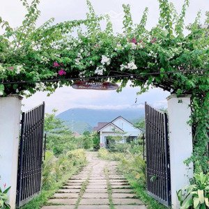 chào bán nhà vườn hòa ninh. diện tích 3200m2 có 400m2 đất ở. có sẵn vila vào ở luôn ạ