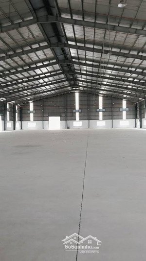 cho thuê nhà xưởng 5.000m² giá siêu rẻ tại long an người nước ngoài đứng tên được, pccc tự động