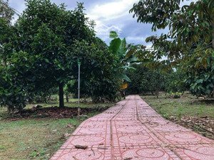 bán nhanh ngôi nhà vườn tâm huyết siêu đẹp mặt tiền 181m đường ô tô