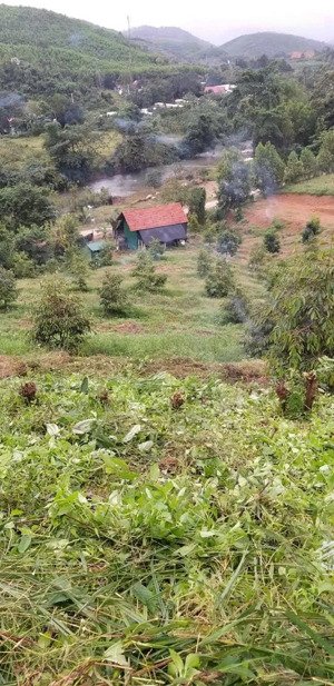 bán nhanh lô đất vườn nghĩ dưỡng đẹp khánh thành khánh vĩnh đường ô tô tận nơi