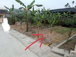  Chính chủ gửi bán lô đất trục thông 5m tại Hợp Thành - TP Thuỷ Nguyên - HP •Diện tích : 60m ngang 4,24m •Xung quanh dân cư văn minh , gần mọi tiện ích , đỗ cửa Giá chỉ 7xx tr