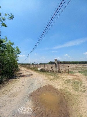tôi chính chủ cần bán hơn 4,3 mẫu đất cây lâu năm tại xã thành long châu thành tây ninh giá 5,5 tỷ