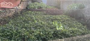 BÁN ĐẤT SẴN SỔ MẶT TIỀN TRUNG TÂM XUÂN MAI-CHƯƠNG MỸ