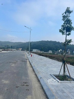 chính chủ bán lô đầu ve, ve nội bộ lk17 và lk11 tại mb520 rừng thông đông sơn