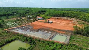 bán đất 237m2 giá ưu đãi tại bình thắng, bù gia mập, bình phước