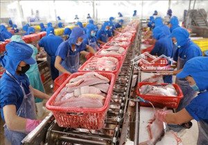 bán nhà máy chế biến thuỷ hải sản tại tiền giang, đang hoạt động và đủ tiêu chuẩn xuất khẩu