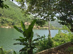 cần bán nhà vườn tại thôn nam mỹ, xã hòa bắc, huyện hòa vang, tp. đà nẵng