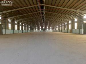 https://khoxuongmiennam.net/ Cho thuê Kho Xưởng 4.000m2 Long An. Tiệp nhận đa nghành nghề: Bao bì, xi mà, hóa chất...