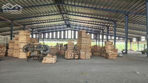 Cho Thuê Xưởng 13.000m² Ngoài KCN Bình Phước – Có Sẵn Máy Móc Ngành Gỗ, PCCC Tự Động