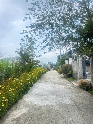 chủ gởi bán lô đất đẹp trà kiểm hòa phước