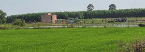 bán trang trại view đẹp tại hòa hội, châu thành, tây ninh, 2,5 tỷ, 11789.5 m2