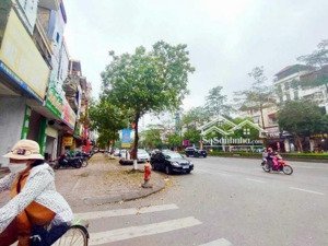 siêu phẩm kinh doanh mặt phố ngô gia tự