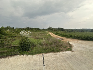 bán đất liền kề thanh long bay bình thuận, sổ riêng 1050m2 đất vuông vức siêu đẹp giá 995 triệu