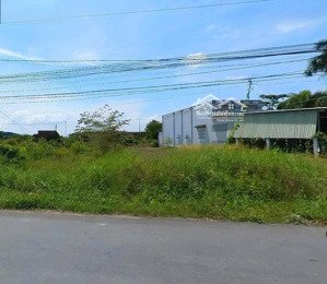 bán gấp đất mặt tiền đường 826b, phước đông, cần đước, shr, diện tích 120m² giá cực hời