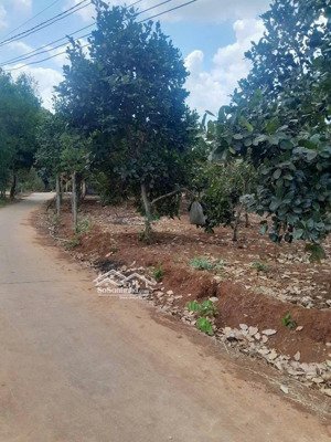 1.911m2 mặt tiền 68m có 300 thổ cư ,bàu chinh, châu đức, bà rịa vũng tàu