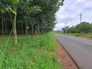 chính chủ cho thuê đất 2.4ha gần kcn bắc đồng phú vị trí vàng mở xưởng tại tân lợi, bình phước