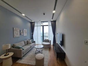 cho thuê căn hộ sang trọng tiện nghi vvip brg diamond residence tại lê văn lương