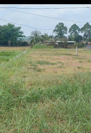 bán đất vườn bình chánh 381m2 mặt tiền nhựa 8m sổ hồng riêng